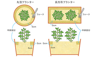 【第4回】野菜作りのための追肥の基本