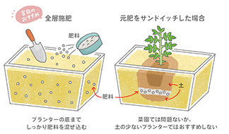 【第3回】野菜作りのための元肥の基本