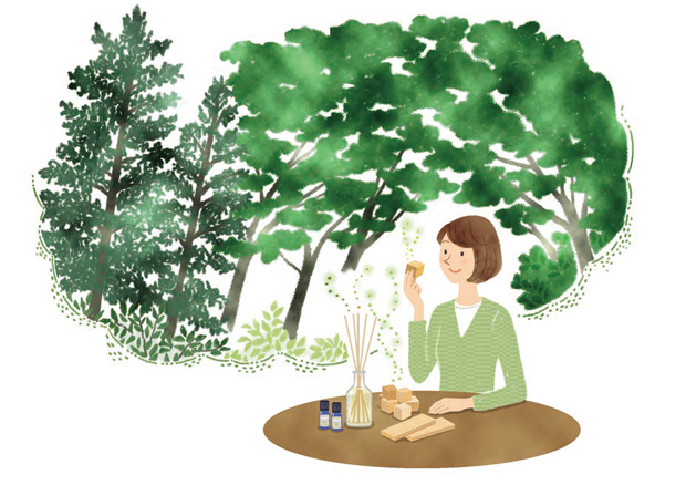 第6回 木の香りでリラックス 花と緑 癒しの科学 読みもの サカタのタネ 家庭菜園 園芸情報サイト 園芸通信