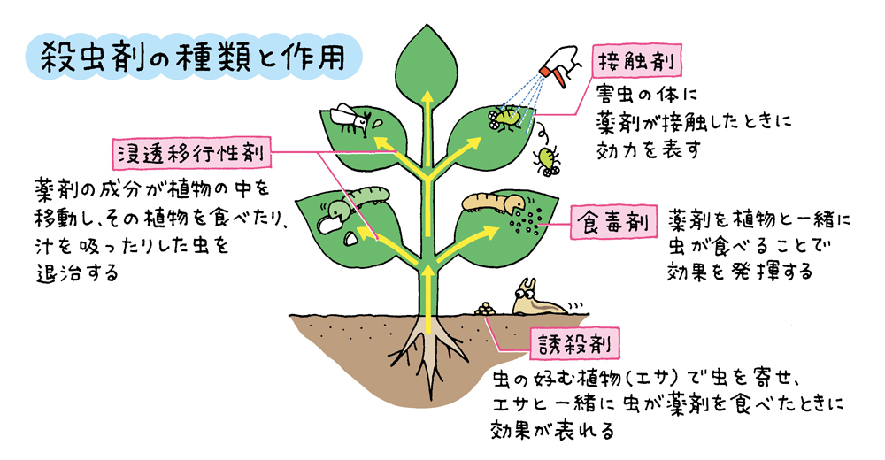 殺虫剤の種類と作用、後述の本文参照