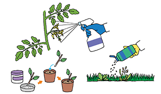 【第9回】植物成長調整剤と除草剤について知ろう