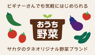 ビギナーさんでも気軽にはじめられる おうち野菜(R)