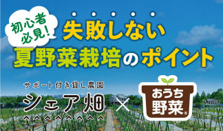 園芸初心者必見の失敗しない夏野菜の栽培ポイント 「シェア畑」菜園アドバイザーが認める「おうち野菜」の魅力を紹介！