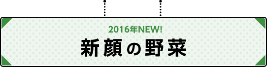2016年NEW！新顔の野菜