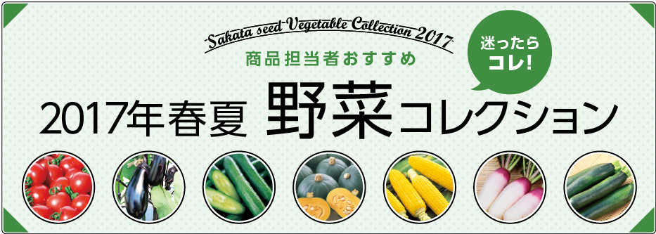 商品担当者おすすめ2017年春夏　野菜コレクション