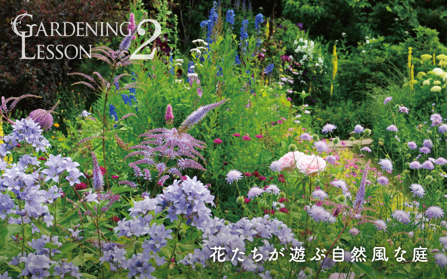 GARDENING LESSON 2 花たちが遊ぶ自然風な庭