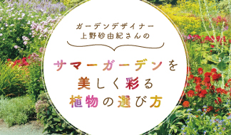 ガーデンデザイナー上野砂由紀さんのサマーガーデンを美しく彩る植物の選び方