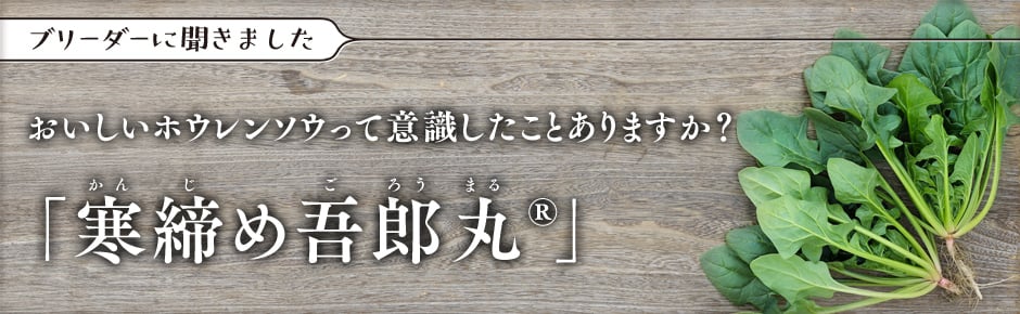 ブリーダーに聞きました おいしいホウレンソウって意識したことありますか？ 「寒締め吾郎丸®」