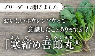 ブリーダーに聞きました おいしいホウレンソウって意識したことありますか？ 「寒締め吾郎丸®」