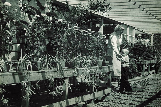 本社1階にオープンした1950年代の売店部（現 ガーデンセンター横浜）