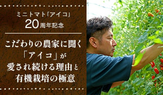 ミニトマト「アイコ」20周年記念 こだわりの農家に聞く「アイコ」が愛され続ける理由と有機栽培の極意