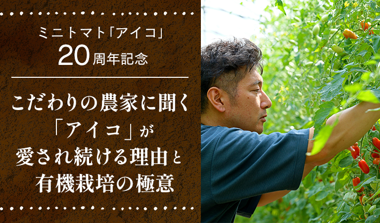 ミニトマト「アイコ」20周年記念 こだわりの農家に聞く「アイコ」が愛され続ける理由と有機栽培の極意