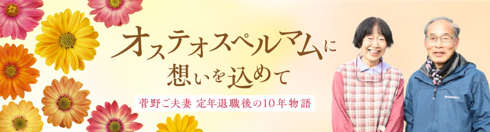 オステオスペルマムに想いを込めて　～菅野ご夫妻 定年退職後の10年物語～