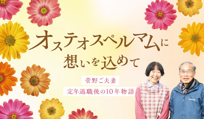 オステオスペルマムに想いを込めて　～菅野ご夫妻 定年退職後の10年物語～