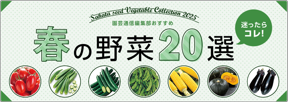 迷ったらコレ！ 園芸通信編集部おすすめ 春の野菜20選