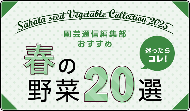 迷ったらコレ！ 園芸通信編集部おすすめ 春の野菜20選