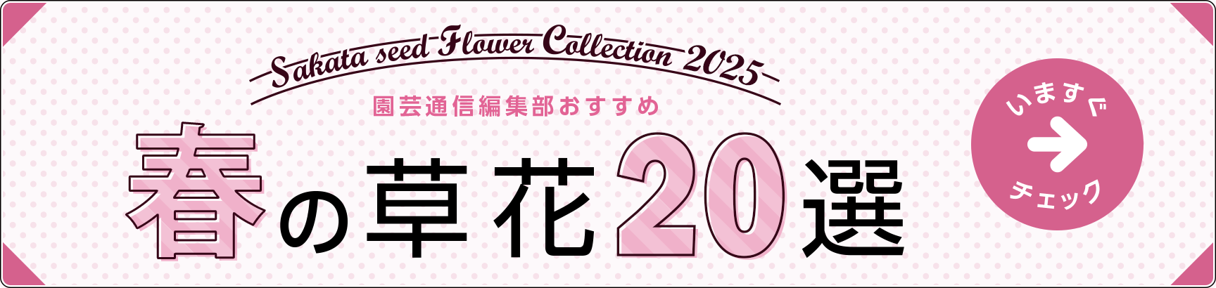 迷ったらコレ！ 園芸通信編集部おすすめ 春の草花20選