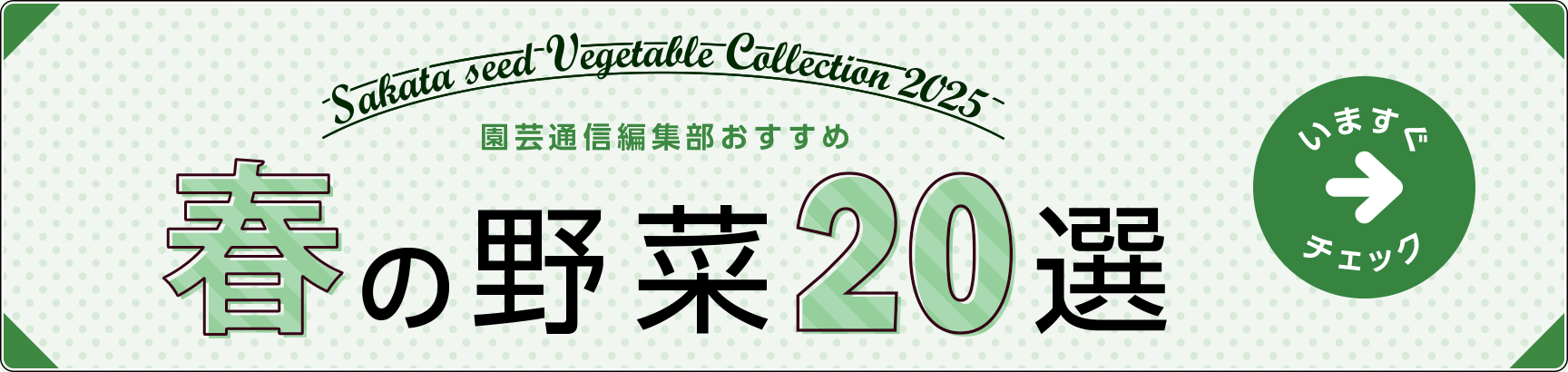 迷ったらコレ！ 園芸通信編集部おすすめ 春の野菜20選