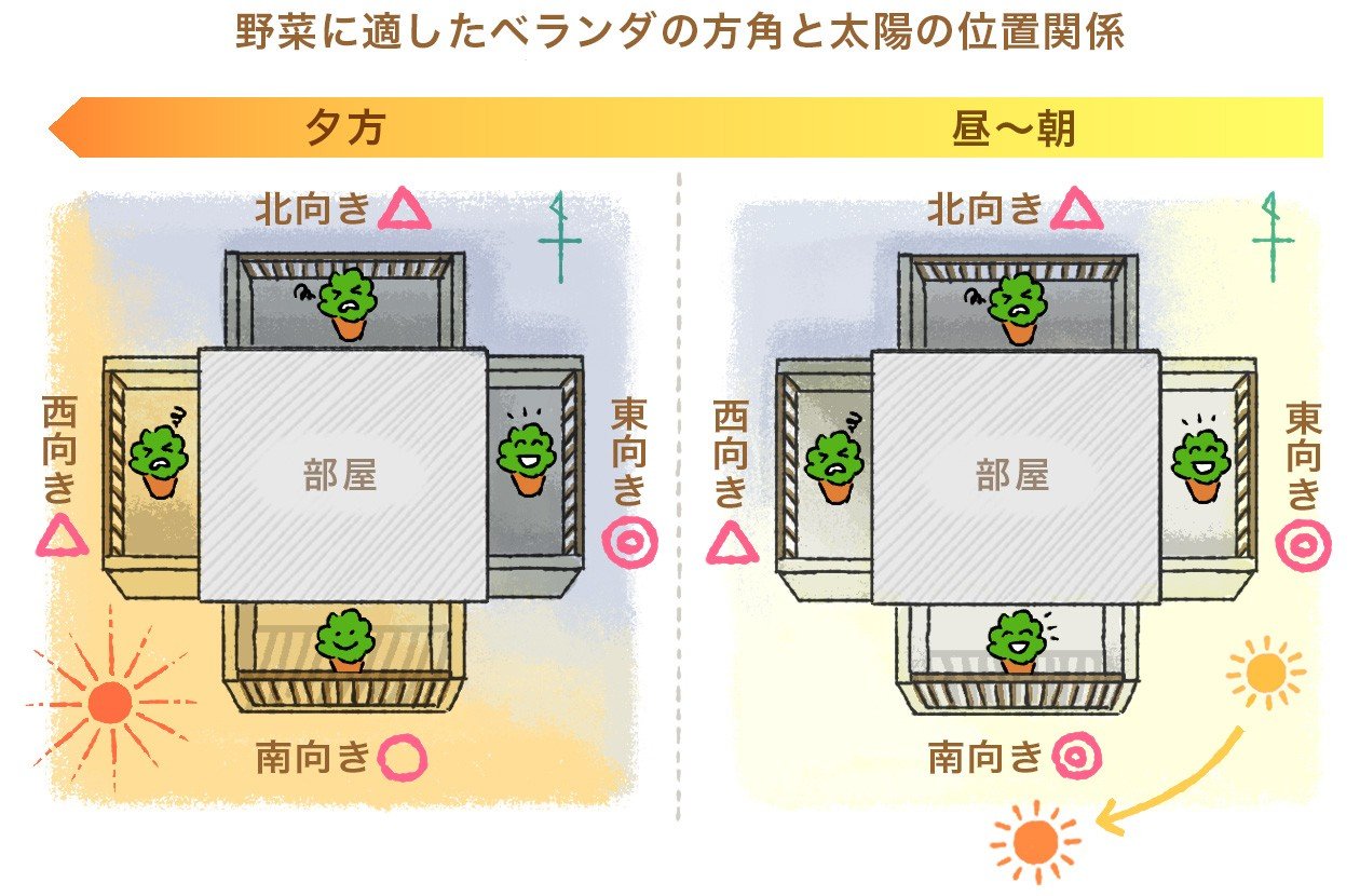 野菜に適したベランダの方角と太陽の位置関係