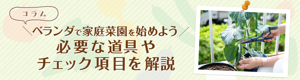 ベランダで家庭菜園を始めよう！必要な道具やチェック項目を解説